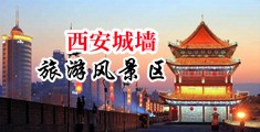 黑丝骚妇淫水草逼中国陕西-西安城墙旅游风景区